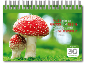 Aufstellkalender_Freude_Inh