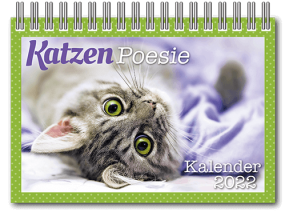 Aufstellkalender_Katzen_Cov