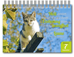 Aufstellkalender_Katzen_Inh_1