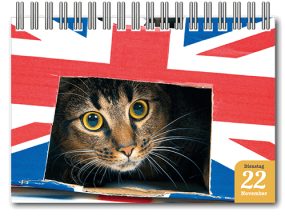 Aufstellkalender_Katzen_Inh_2